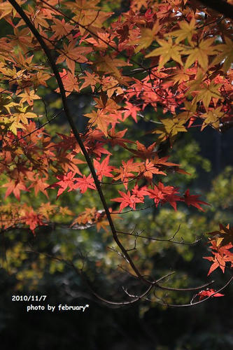 2010太寧寺－４