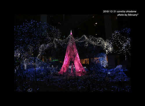 20101231-1