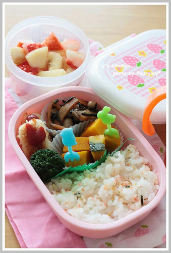 20110219-lunchbox-2
