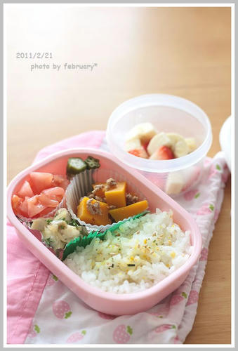 lunchbox20110221-1