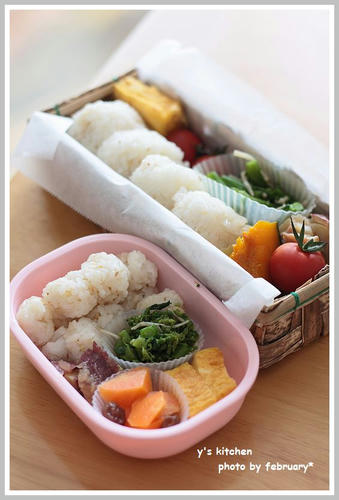 lunchbox20110224-1