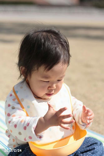 lunchbox20110224-2