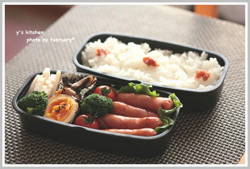お弁当－20110304-05-3