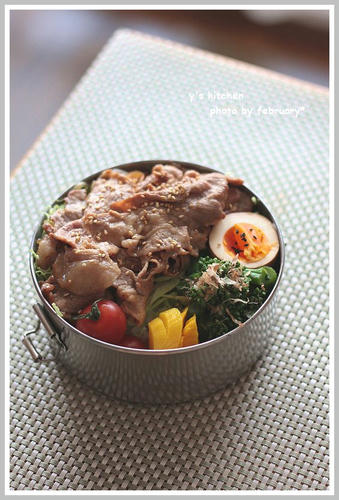 20110310-lunchbox-1