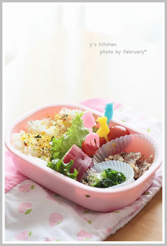 20110310-lunchbox-2