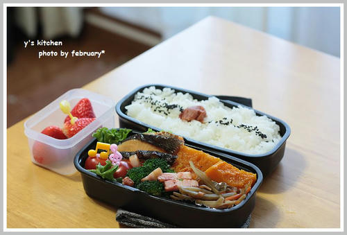 20110310-dinnerbox