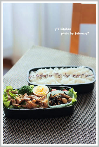 20110318-lunchbox