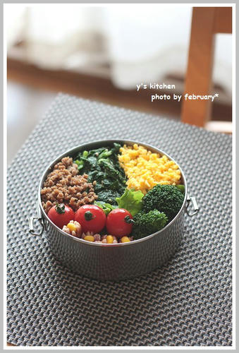 20110320-lunchbox