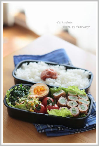 20110325-lunchbox