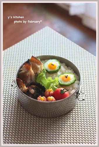20110326-lunchbox-1