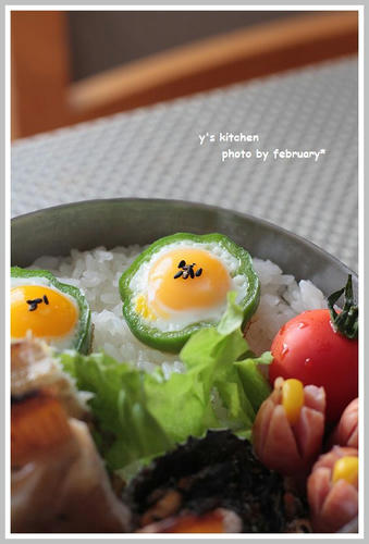20110326-lunchbox-2