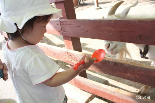 20110505-baby-1