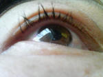 SN340363.JPG