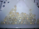 SA3A0173.JPG