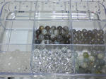SA3A0236.JPG