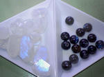 SA3A0309.JPG