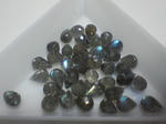SA3A0474.JPG