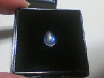 SA3A0901.JPG