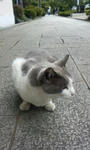 20090516123409.jpg