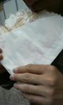 20090516114838.jpg