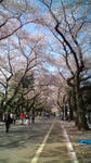 20100410144755.jpg