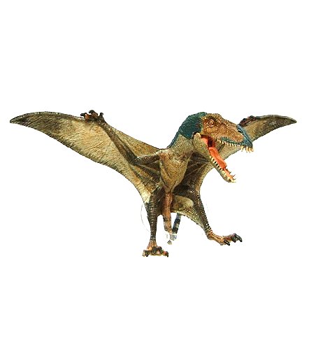 17.12.07 PAPO : DIMORPHODON｜Ban's Collection