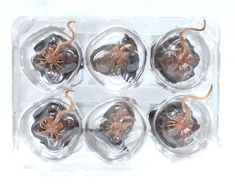 21.02.07 HIYA TOYS EXQUISITE MINI / ALIEN : ALIEN EGGS 21.02.07 HIYA TOYS EXQUISITE MINI / ALIEN : ALIEN EGGS