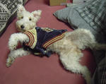 DSCN0171.jpg