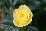 IMG_1862sd1.JPG
