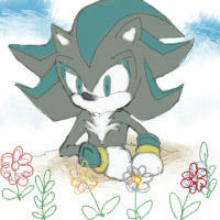 e3c6776e.jpg