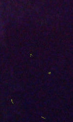 SH3D0285.jpg