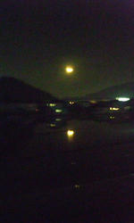 SH3D0286.jpg
