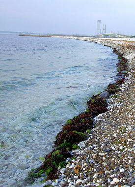 PICT1993_2.jpg
