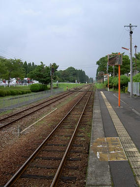PICT1904_2.jpg