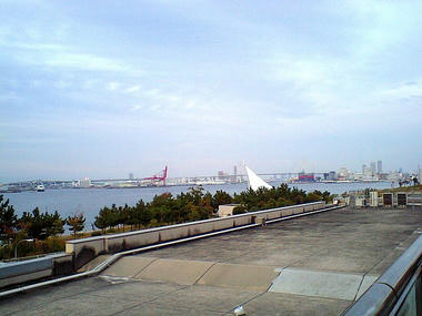 CA380323_2.jpg