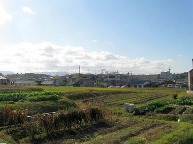 IMG_2722_2.jpg
