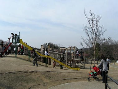 IMG_2268_2.jpg