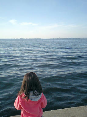 CA380512_2.jpg