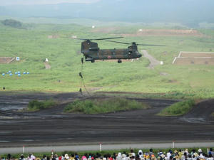 2010-5.jpg