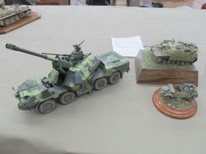 afv22.jpg