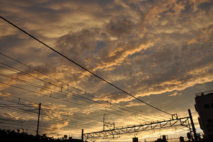 架線と夕空