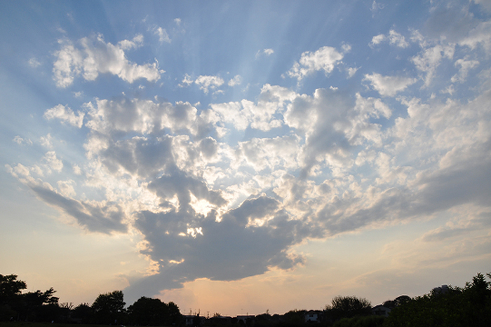 野川の夕空