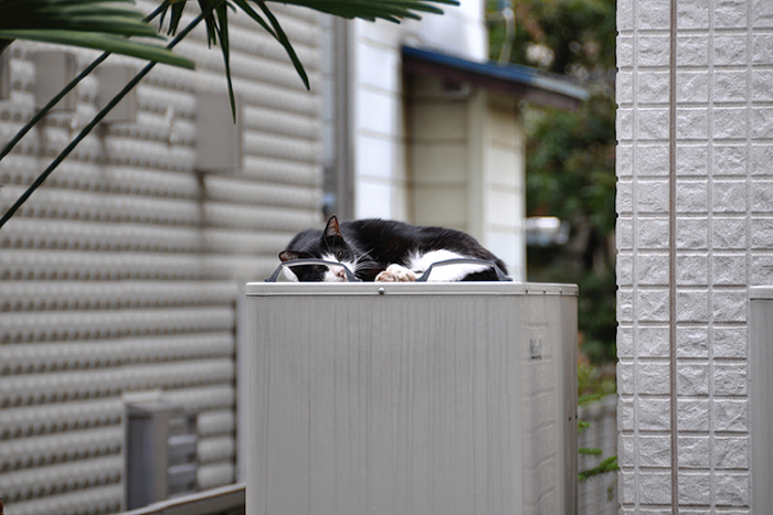 お気に入りの場所１