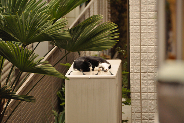お気に入りの場所２