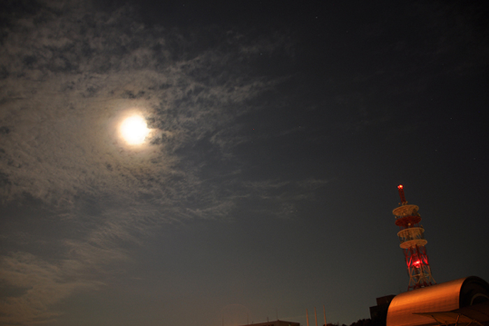 航空公園の夜