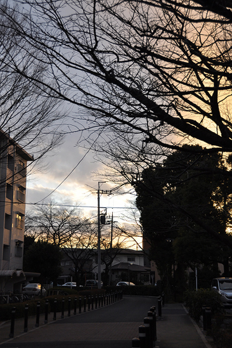 近所の風景