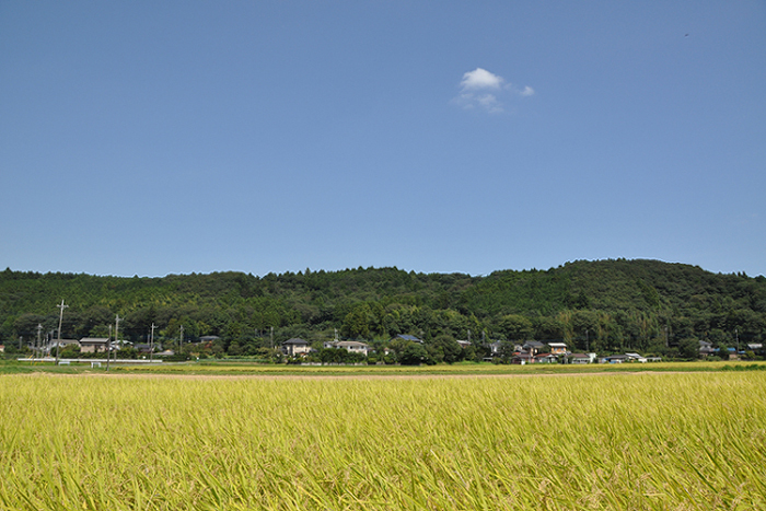 日本の原風景