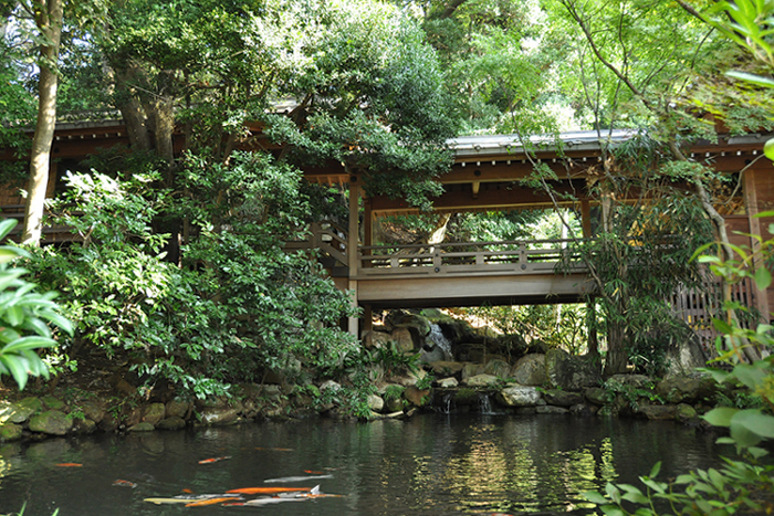 池のある風景