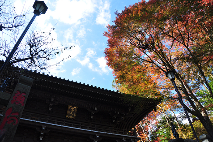 薬王院山門にて