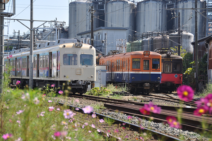 花と鉄道